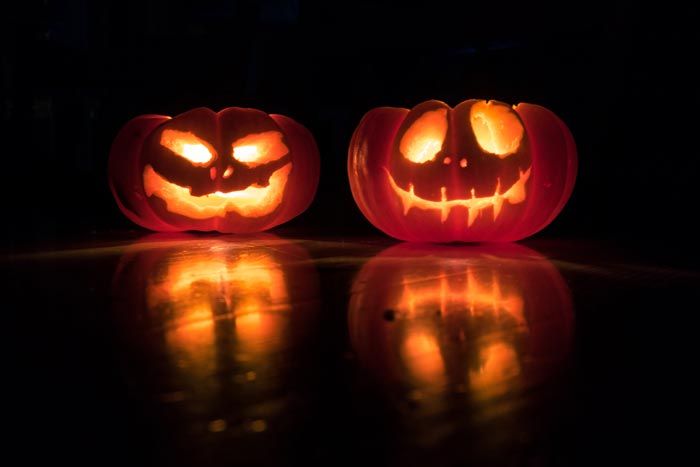 5 Unique Halloween Themed Freshwater Fish!